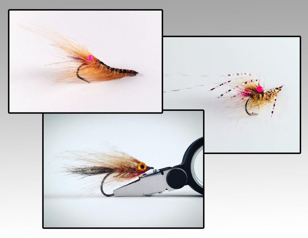Easy Shrimp Eyes Products Gallery