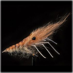svenja-bossen-easy-shrimp-legs-shrimp